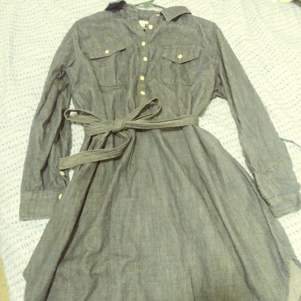 Long sleeve Demi looking dress